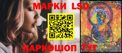 гашик Шелехов