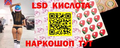 гашик Шелехов